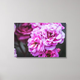 Canvasprint zachte roze rozen canvas afdruk