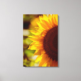 Canvasprint Zonnebloem Bloem Natuurfotografie Canvas Afdruk