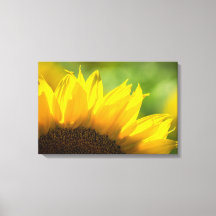 Canvasprint Zonnebloem Bloemfotografie