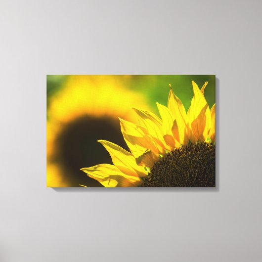 Canvasprint Zonnebloem Elegantie Canvas Afdruk (Voorkant)