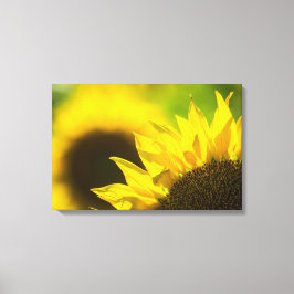 Canvasprint Zonnebloem Elegantie Canvas Afdruk