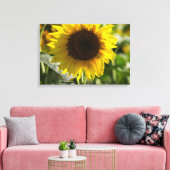 Canvasprint - Zonnebloem Geïsoleerd In Veld Canvas Afdruk (Insitu (Woonkamer))
