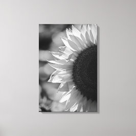 Canvasprint Zonnebloem Op Het Veld BW Canvas Afdruk
