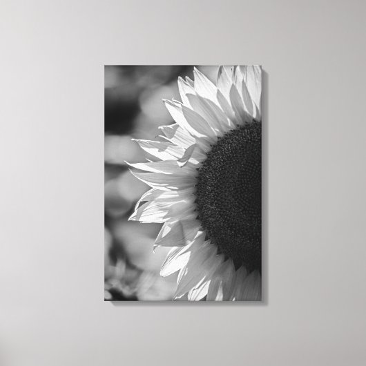 Canvasprint Zonnebloem Op Het Veld BW Canvas Afdruk (Voorkant)