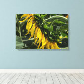 Canvasprint - Zonnebloem Profiel Canvas Afdruk (Insitu (Houten vloer))