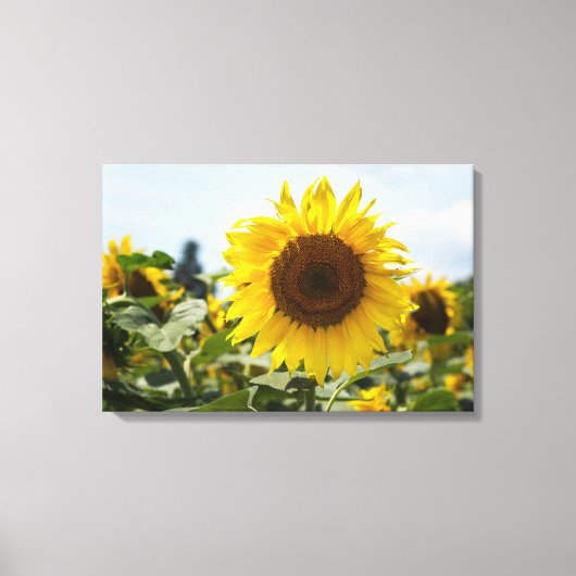 Canvasprint - Zonnebloem Weelderigheid Canvas Afdruk (Voorkant)