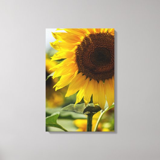 Canvasprint - Zonnebloem Zomer Levendigheid Canvas Afdruk (Voorkant)