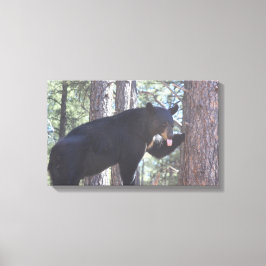 Canvasprinters voor zwart Beer Canvas Afdruk