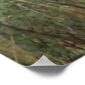 Canyon Buffalo Art Poster -60x40 - andere formaten (Hoek)