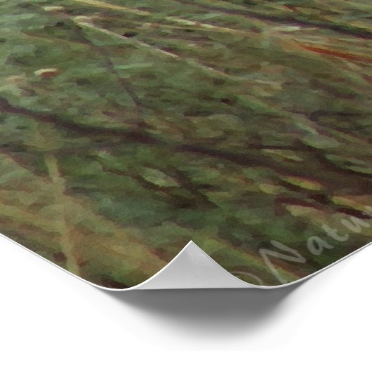 Canyon Buffalo Art Poster -60x40 - andere formaten (Hoek)