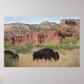 Canyon Buffalo Art Poster -60x40 - andere formaten (Voorkant)