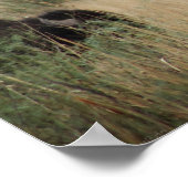 Canyon Buffalo Art Print -24x20 - andere formaten (Hoek)