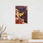 Canyon de Chelly Poster (Keuken)