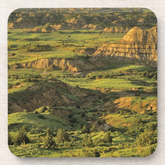 Canyon gekleurd na Storm in Theodore Roosevelt Bier Onderzetter (Voorkant)
