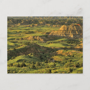 Canyon gekleurd na Storm in Theodore Roosevelt Briefkaart
