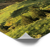 Canyon gekleurd na Storm in Theodore Roosevelt Poster (Hoek)