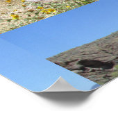Canyon Lake Far Poster (Hoek)