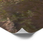 Canyon Mirror Poster (Hoek)