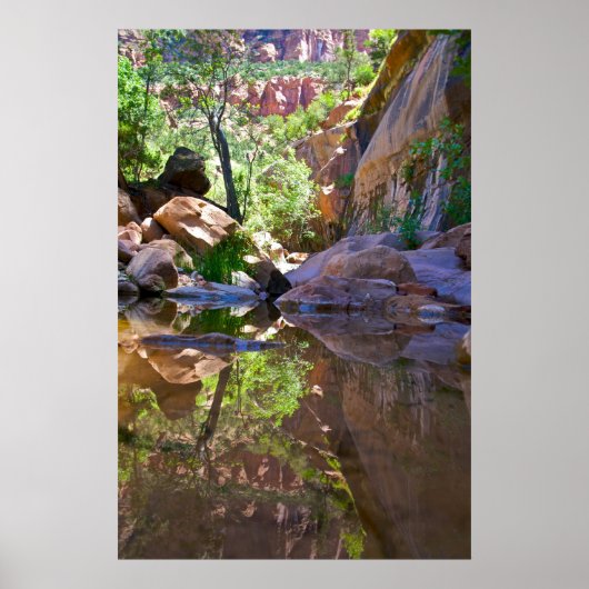 Canyon Mirror Poster (Voorkant)