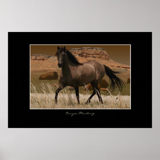 CANYON MUSTANG Horse Conservation Art Print (Voorkant)