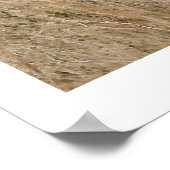 CANYON MUSTANG Horse Conservation Art Print (Hoek)