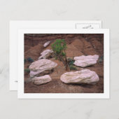 "Canyon Pods" Briefkaart (Voorkant / Achterkant)