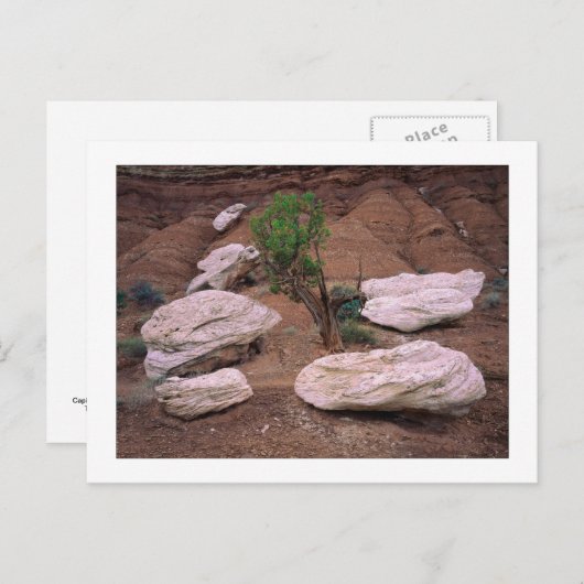 "Canyon Pods" Briefkaart (Voorkant / Achterkant)