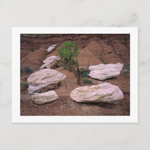 "Canyon Pods" Briefkaart