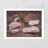 "Canyon Pods" Briefkaart (Voorkant)