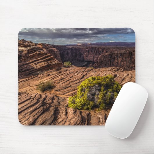 Canyon Resilience Mousepad Muismat (Met muis)
