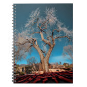 Canyon Road Tree Notitieboek (Voorkant)