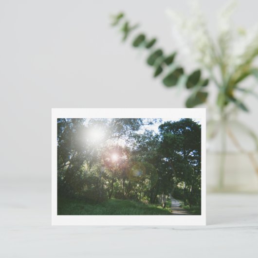 Canyon Trail Briefkaart (Staand voorkant)