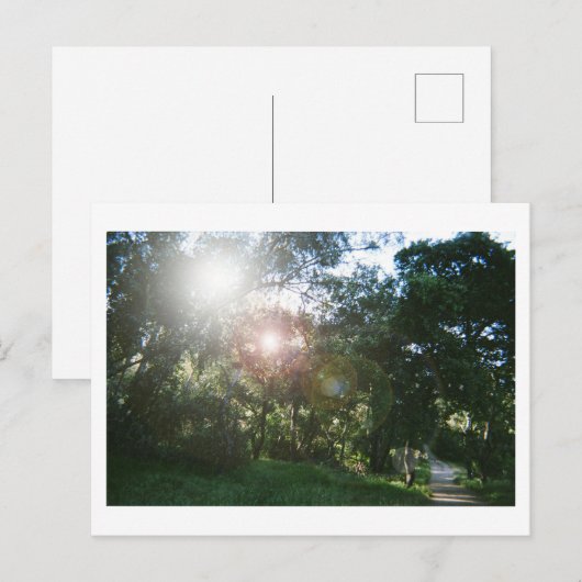 Canyon Trail Briefkaart (Voorkant / Achterkant)