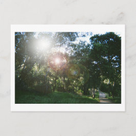 Canyon Trail Briefkaart