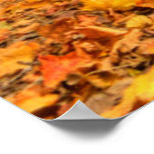 Canyon uit India in Herfst, Columbus, Ohio Poster (Hoek)