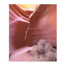 Canyon van vele kleuren