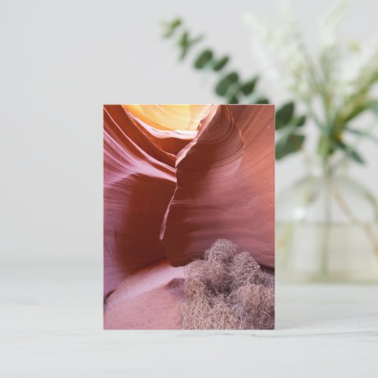 Canyon van vele kleuren briefkaart (Staand voorkant)