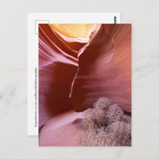 Canyon van vele kleuren briefkaart (Voorkant / Achterkant)