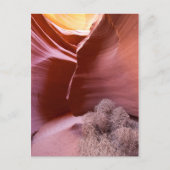 Canyon van vele kleuren briefkaart (Voorkant)