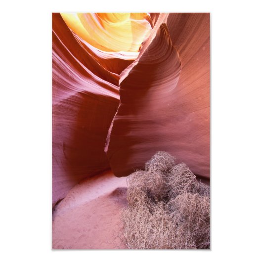 Canyon van vele kleuren foto afdruk (Voorkant)