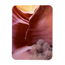 Canyon van vele kleuren