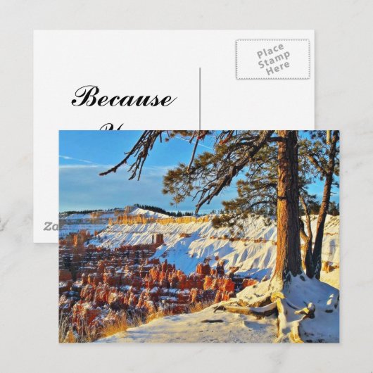 Canyon Winter Snow Pine Trees Utah Briefkaart (Voorkant / Achterkant)