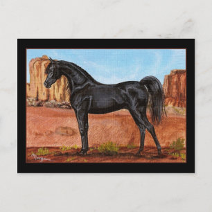 Canyon Wonder Arabian horse briefkaart