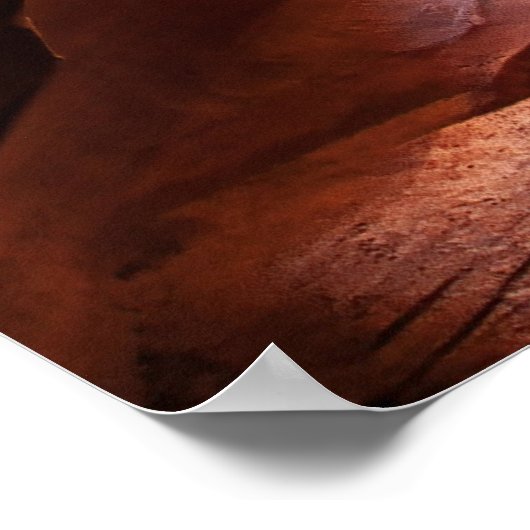 Canyon X Poster (Hoek)