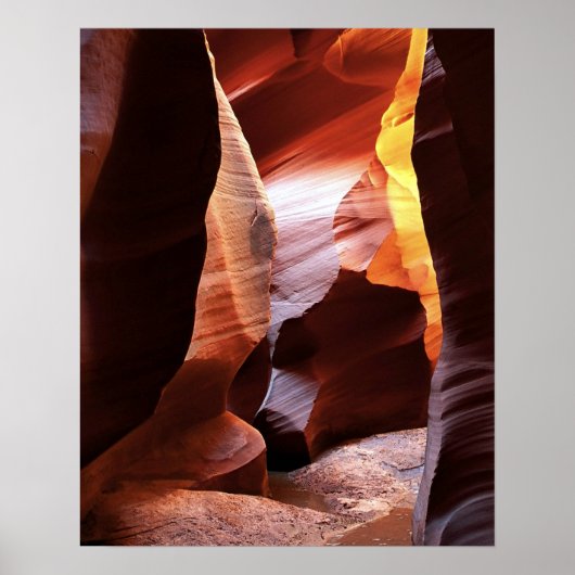 Canyon X Poster (Voorkant)