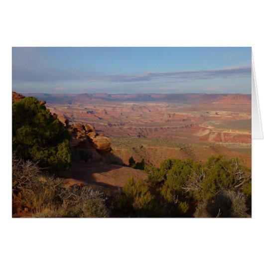 Canyonlandenzicht vanaf Grand View Point Trail (Voorkant Horizontaal)