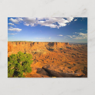 Canyonlands National Park, Utah, Verenigde Staten Briefkaart