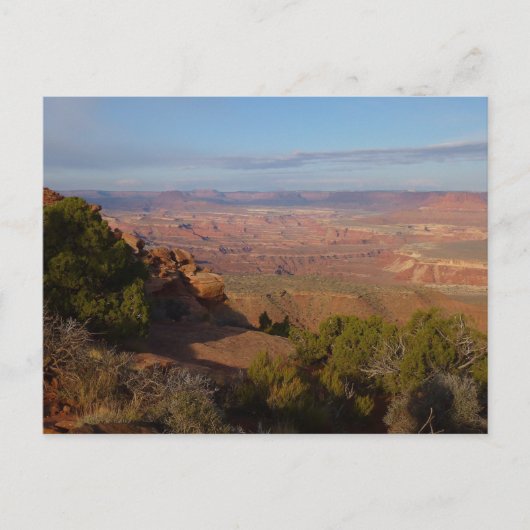 Canyonlands Uitzicht van Grand Uitzicht Point Trai Briefkaart (Voorkant)