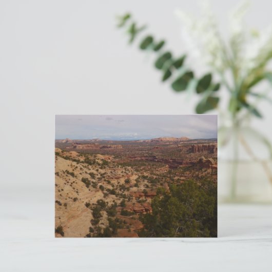 Canyonlands Uitzicht van Neck Springs Trail Briefkaart (Staand voorkant)
