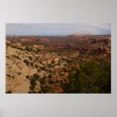 Canyonlands Uitzicht van Neck Springs Trail Poster (Voorkant)